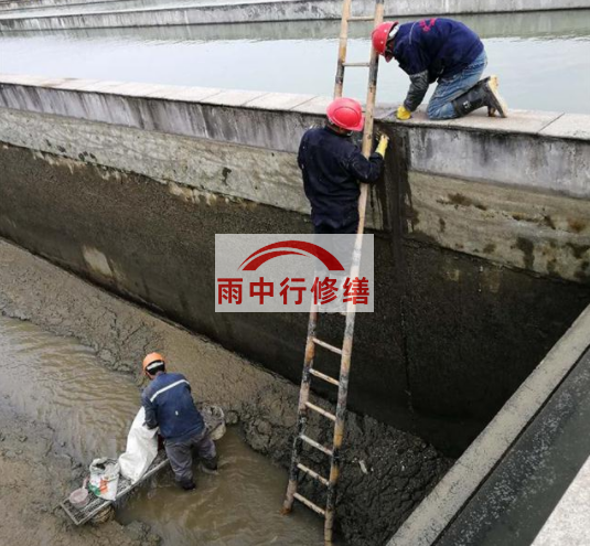 河北污水池变形缝堵漏